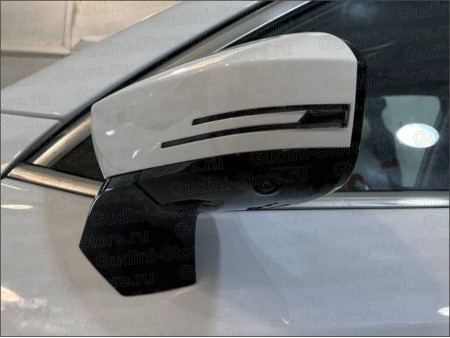 Exeed LX (2022): зеркала автомобиля (электронное лекало)
