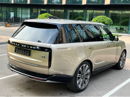 Комплект лекал на молдинги вокруг окон дверей Land Rover Range Rover (2022)